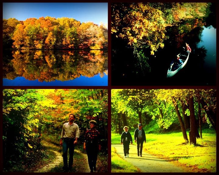 fall collegem
