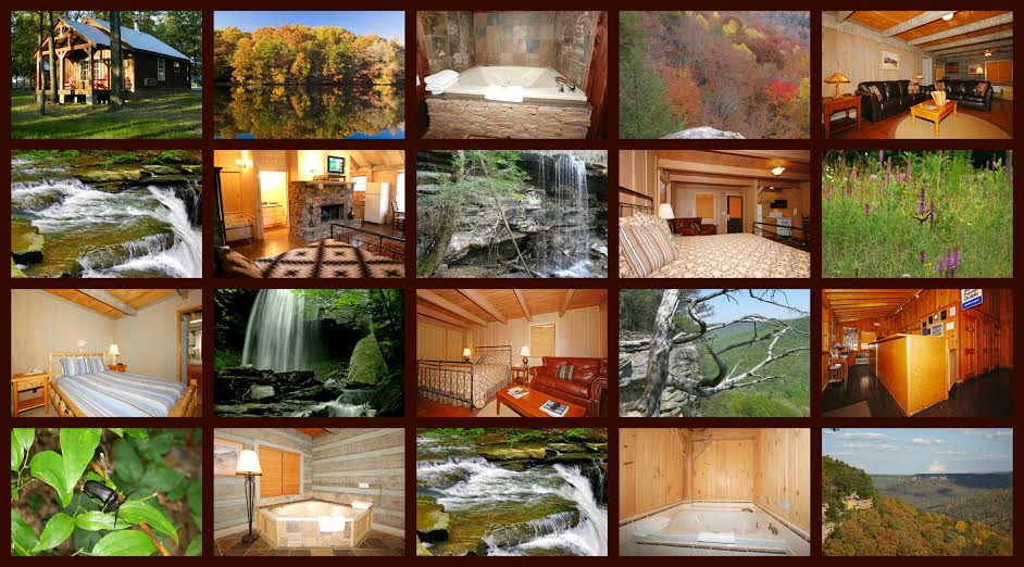 SpringCollage_SH