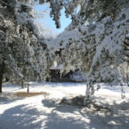 Bring the sleds, throw some snow balls.