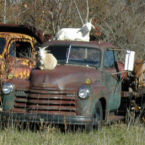 Bring the whole family to Jim Oliver's Smoke House for a memroable good times.