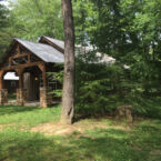 Cabin 443 Timber Frame Outside, surrounded by wispy hemlocks.