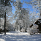 Cabins during a February snow.