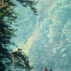 Canoe trips on the Elk Collins Sequachie Tennessee Rivers.