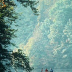 Canoe trips on the Elk Collins Sequachie Tennessee Rivers.