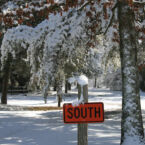Come up for winter snow and fireplace chats.