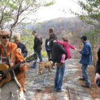 Fall touring in the mountains around Monteagle.- The Smoke House Lodge and Cabins, Monteagle, TN