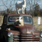 Couples enjoy the Smoke House for Date Night, All Night Getaways.