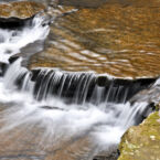 Fiery Gizzard Trail Falls, near Monteagle.