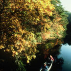 Float the Elk River, Sequachie River, Colins River, all near the Smoke House.