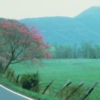 Great places to see in around Monteagle. Scenic drives along the Mountains and Hollows of Monteagle,Tennessee.