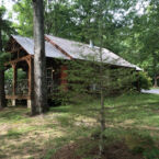 How it looks around the Timber Frame Cabin area.