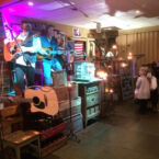 Live Music shows are for the whole family.