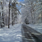 Mountain Goat Trail between Sewanee and Monteagle; snow and frost create a winter wonderland.