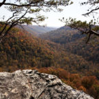 Ravin Point overlooking Savage Gulf, South Cumberland State Park.