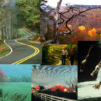 Scenic Attractions around Monteagle Mountain.Tennessee.