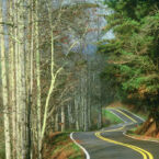 Scenic Curvey Mountain Drives all around Monteagle Mountain.