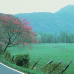Scenic drives along the Mountains and Hollows of Monteagle Tennessee.