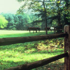 Sight seeing around Monteagle.