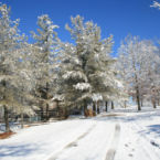 Snow covered trees, road, and cabins around the Smoke House.