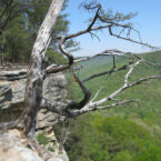 Stone Door overlook, Beersheba Springs.