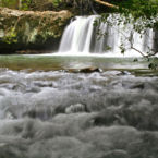 Sycamore Falls, part of the South Cumberland State Park.