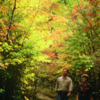 The South Cumberland State Park has hundreds of hiking trails in 9 different State Natural Areas.