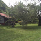 The grounds around the cabins are peaceful and private.