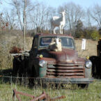 Tourist look just as funny as we do.