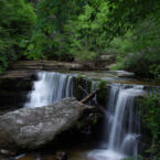 Typical mountain stream along our trails.