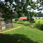 Views from the cabins.