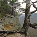 Years of aging, weathering, wind, rain. At Stone Door, Beersheba, TN